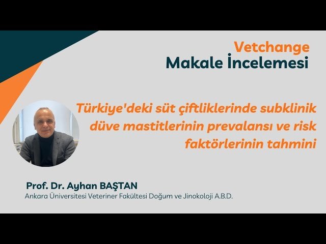 “Vetchange Makale İncelemesi - 13” Prof.Dr. Ayhan Baştan